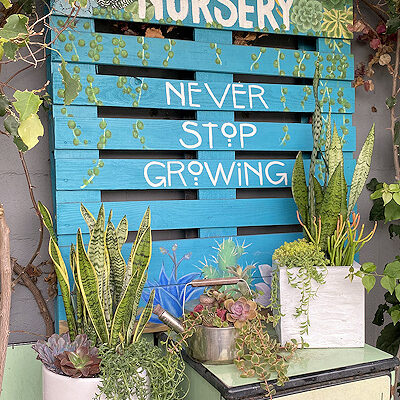 ​North Park Nursery