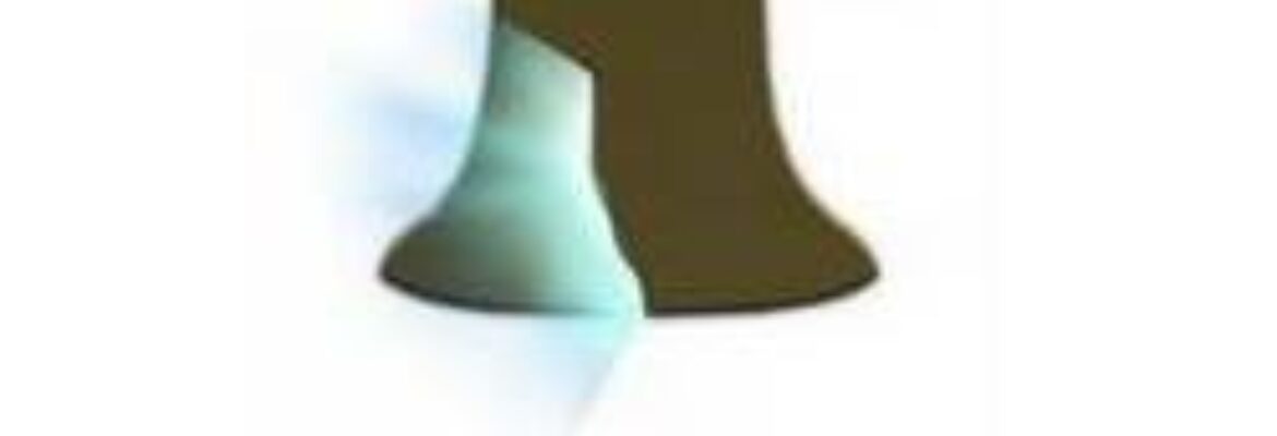 Liberty Bell Law Group