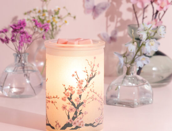 So Fresh with Nia Home Fragrance